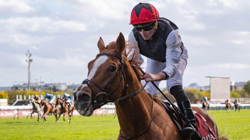 Kyprios - still in Yorkshire Cup