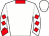 Horse silk