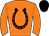 Horse silk
