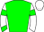 Horse silk