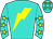 Horse silk