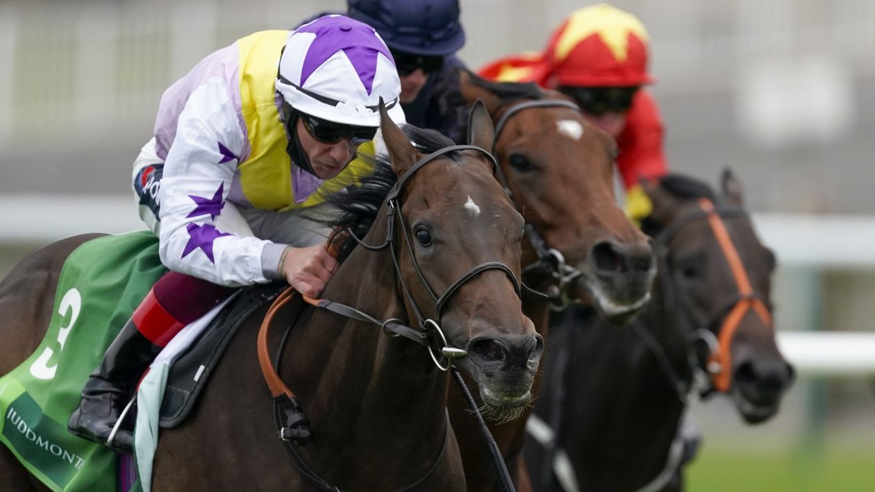 New Mandate wins the Royal Lodge