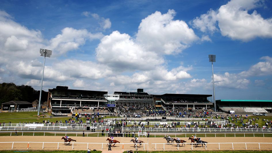 Jamie Maynard's best bet is at Newcastle today