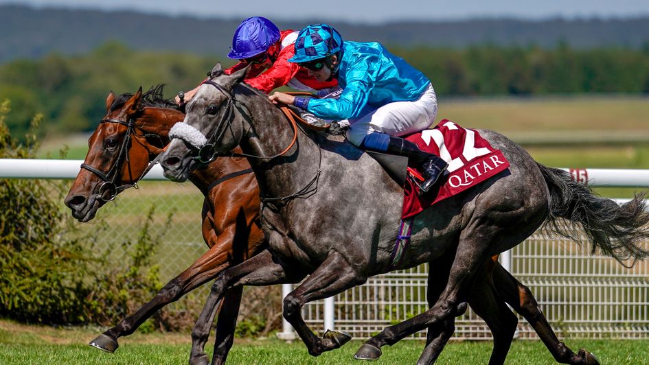 Pilaster (far side) wins at Goodwood