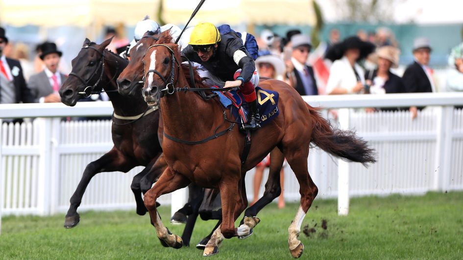 Stradivarius wins the 2019 Gold Cup at Royal Ascot