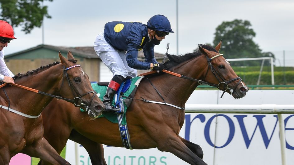 A Star Above in winning action