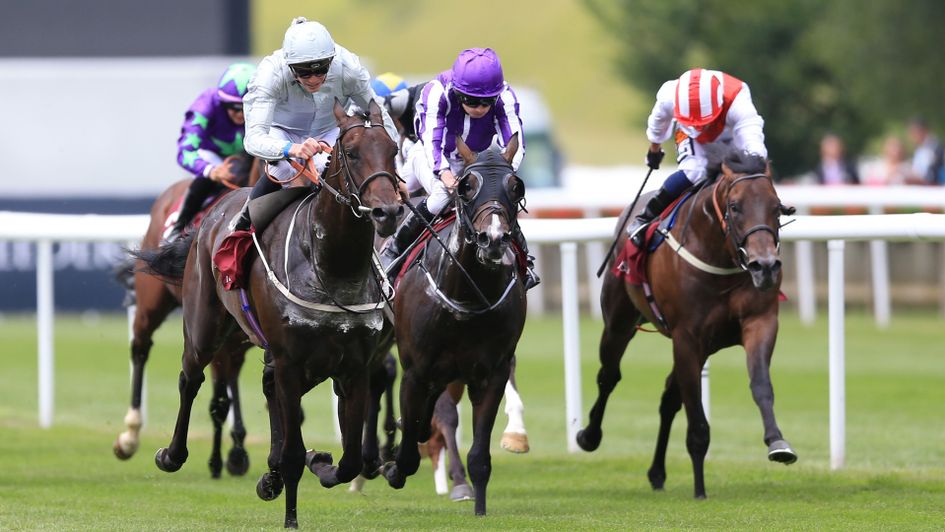 Cardsharp hits the front from US Navy Flag and Invincible Army