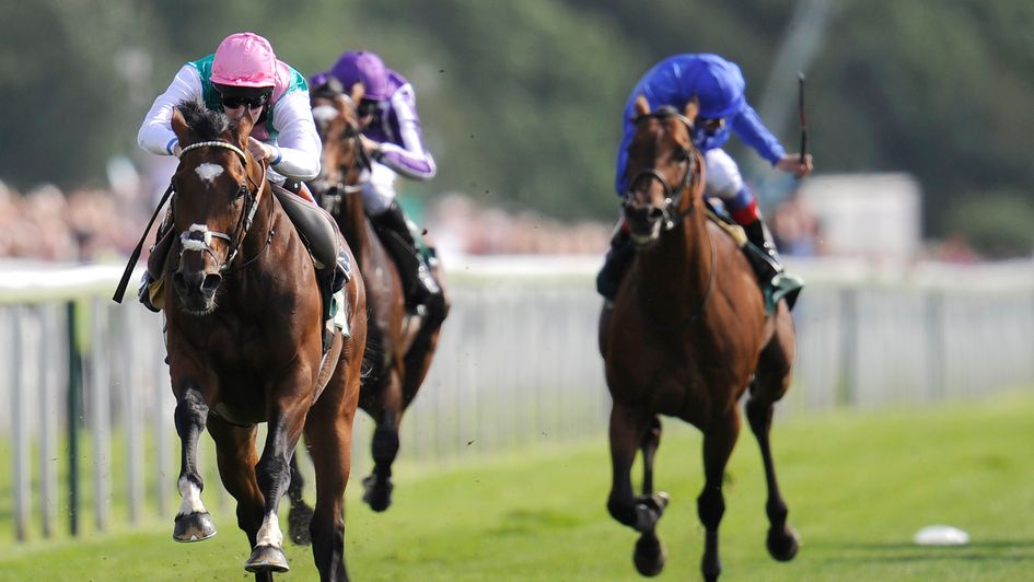 Frankel: Could be represented at the Cheltenham Festival