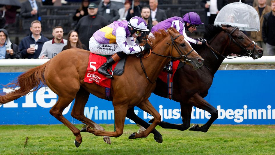 Delacroix touches off Stanhope Gardens at Newmarket