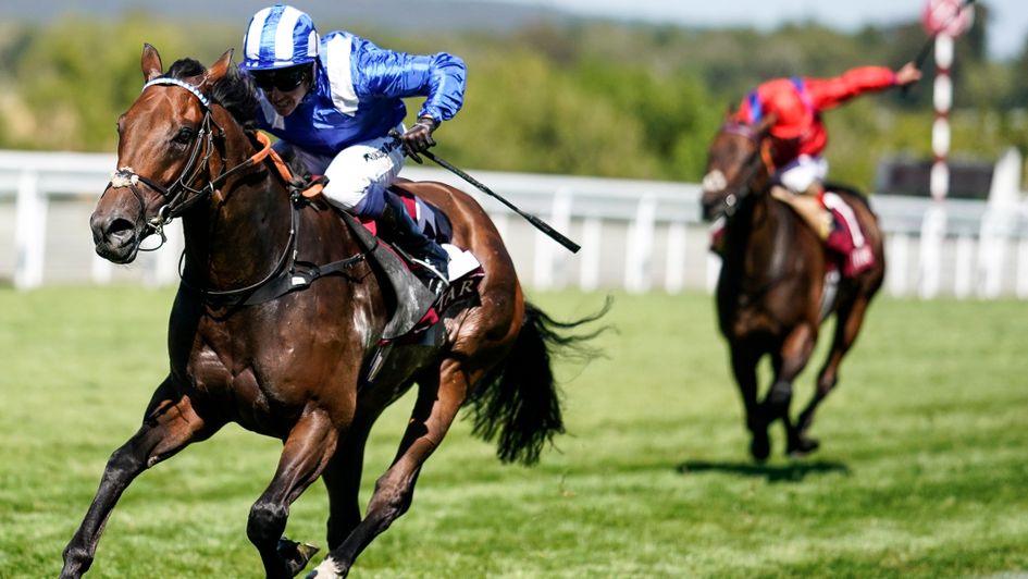 Battaash is a cut above his Goodwood rivals