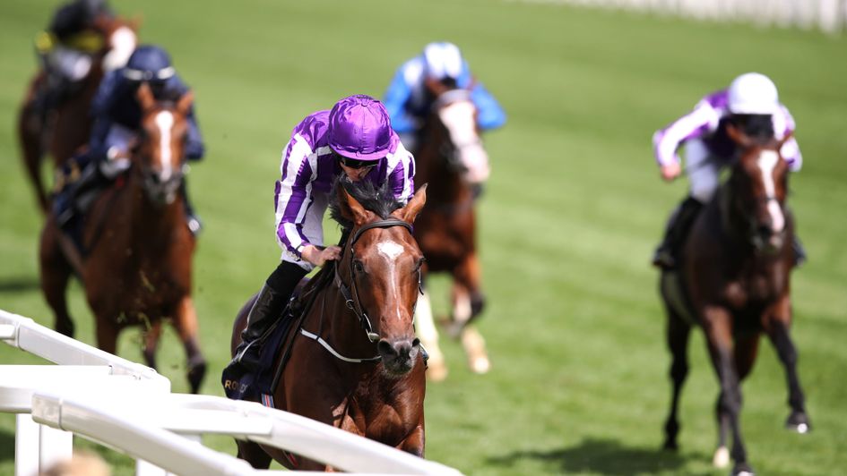 Kew Gardens looks every inch a St Leger candidate as he wins the Queen's Vase