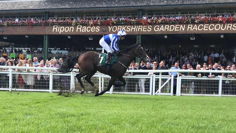 Lampang pictured winning at Ripon