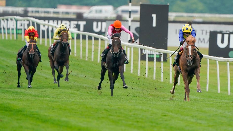 Dream Of Dreams pulls further and further clear