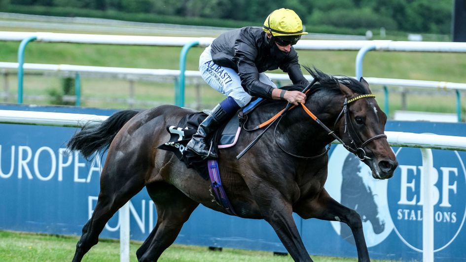 English King is an impressive winner at Lingfield