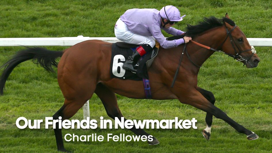 King Ottokar is a horse to keep the right side of