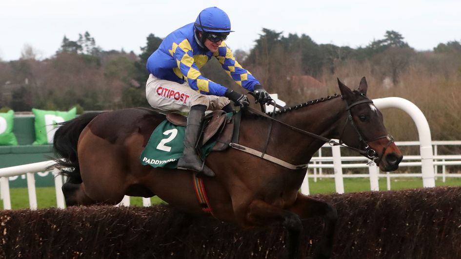 Kemboy jumps the last at Leopardstown