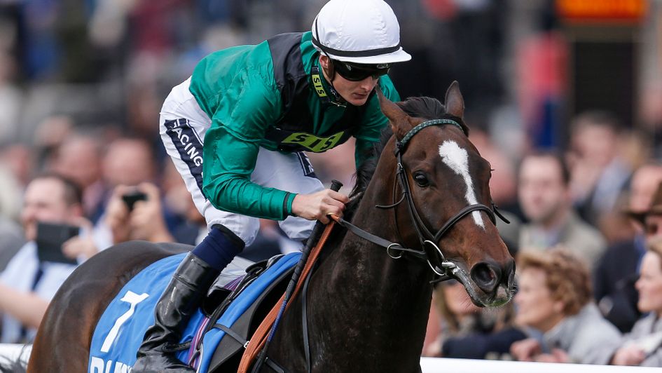 Limato cruises clear at Newmarket