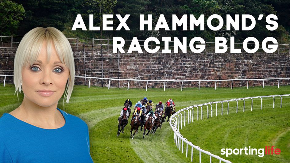 Check out Alex Hammond's latest blog