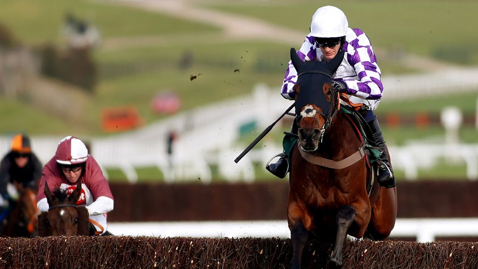 Marracudja looks primed to go well