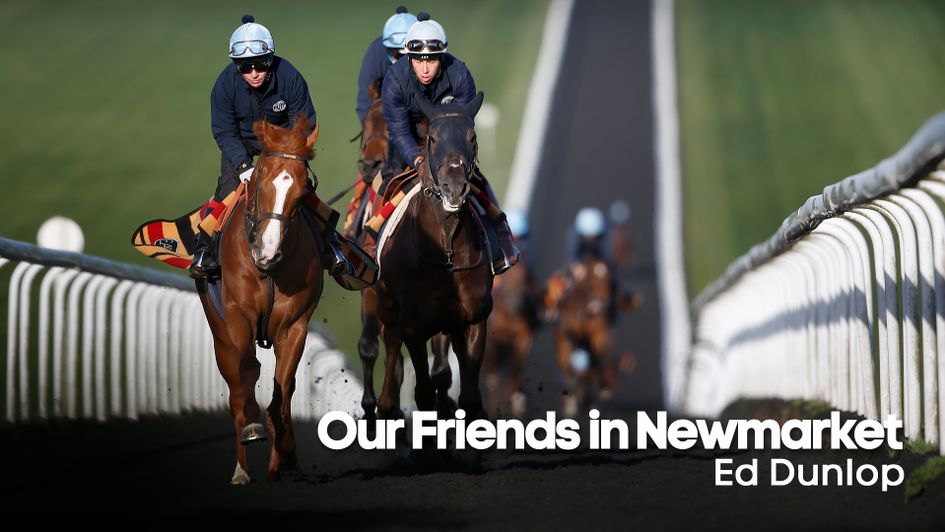 The Ed Dunlop string exercise on the Warren Hill gallops