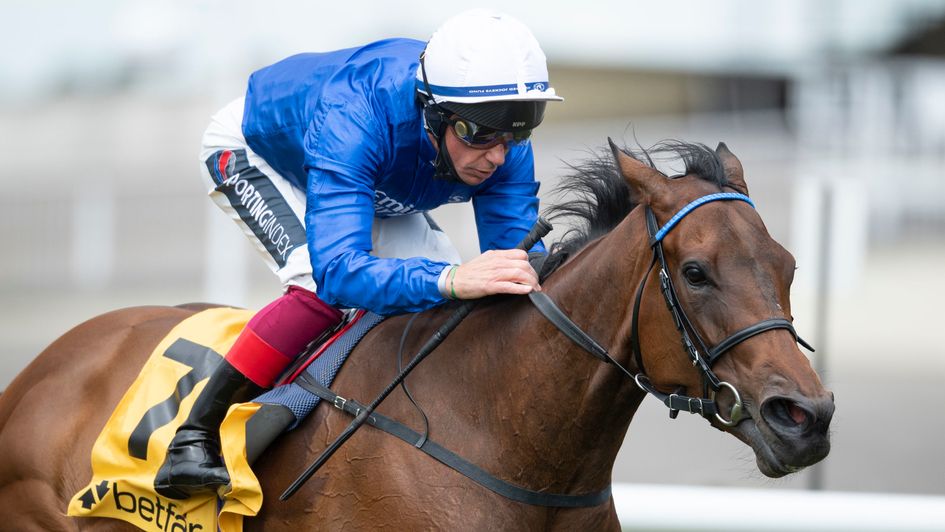 Terebellum wins under Frankie