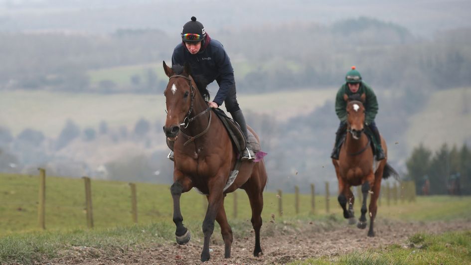 The New One gallops on Thursday morning