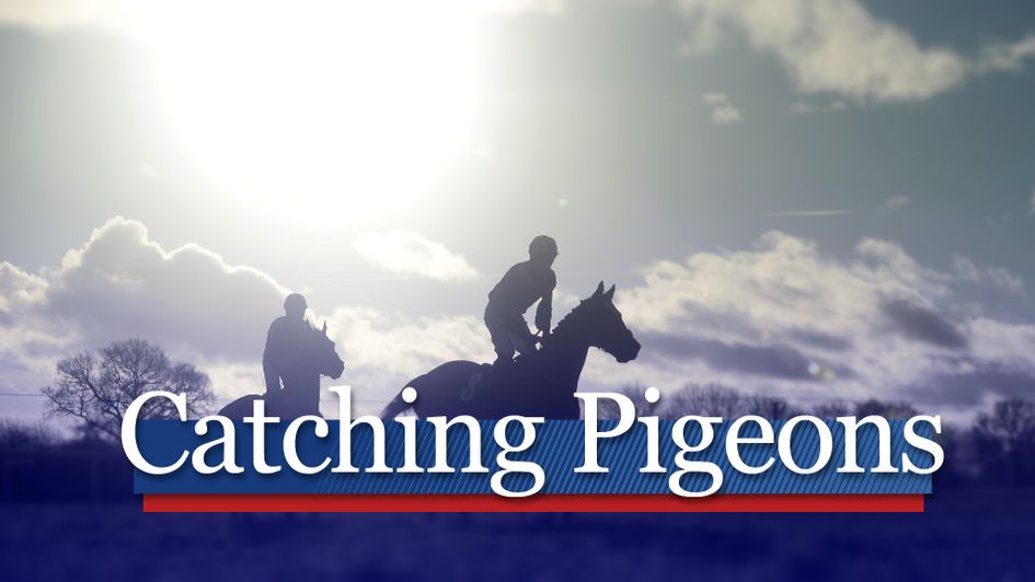 Latest racing tips from around the major training centres