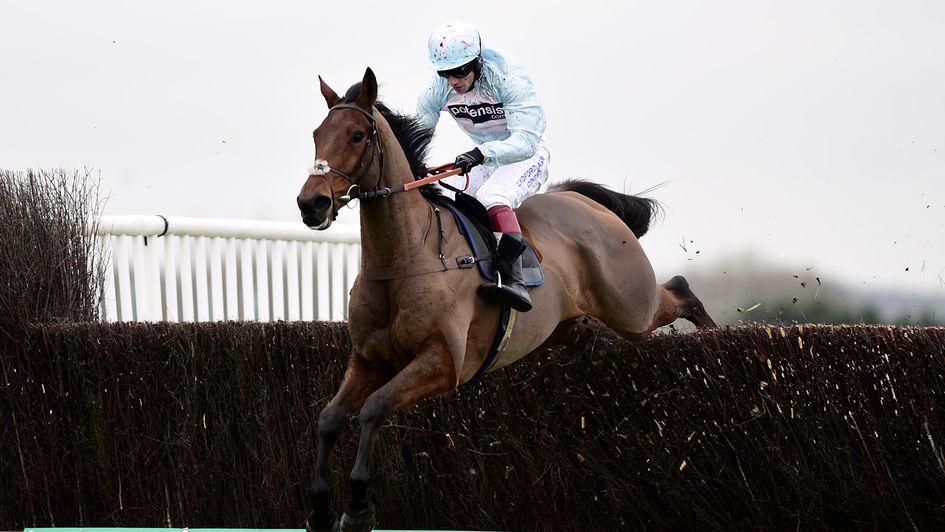 Wuff: One of three best bets on Saturday