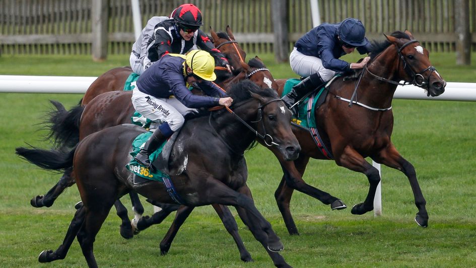 Gustav Klimt challenges on the far side of Nebo (yellow) and Finniston Farm