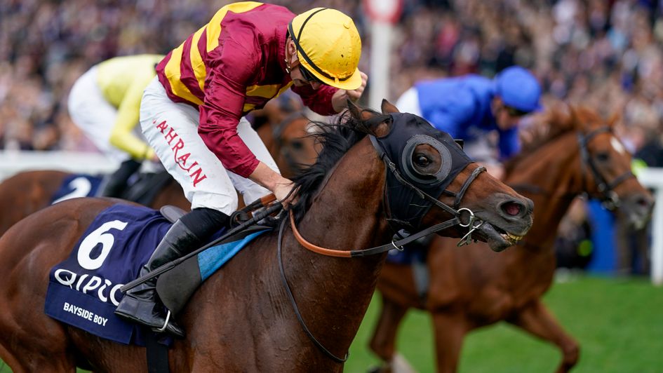 Bayside Boy is a 33/1 winner of the QEII