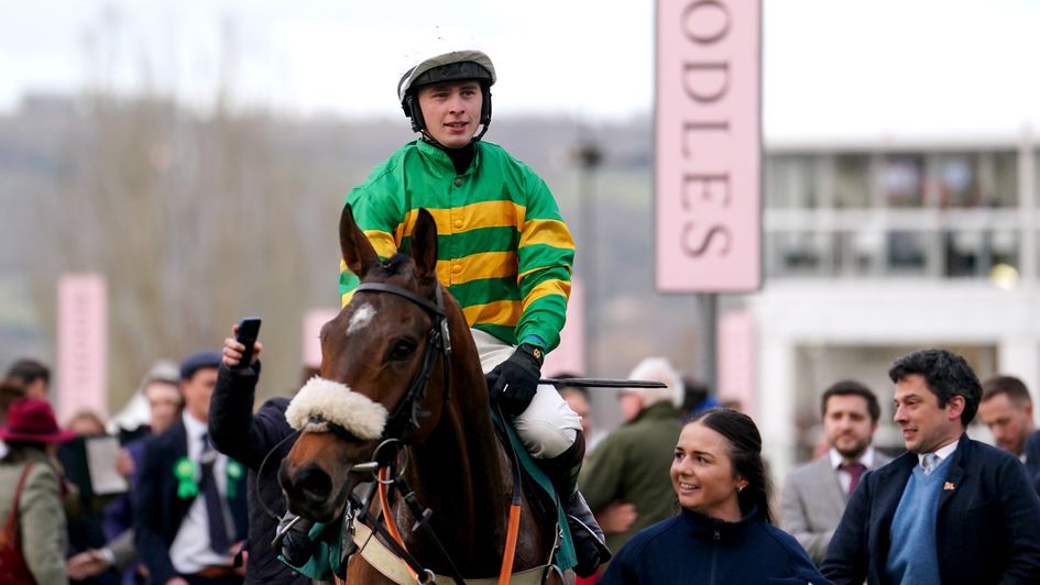 Iroko returns in triumph