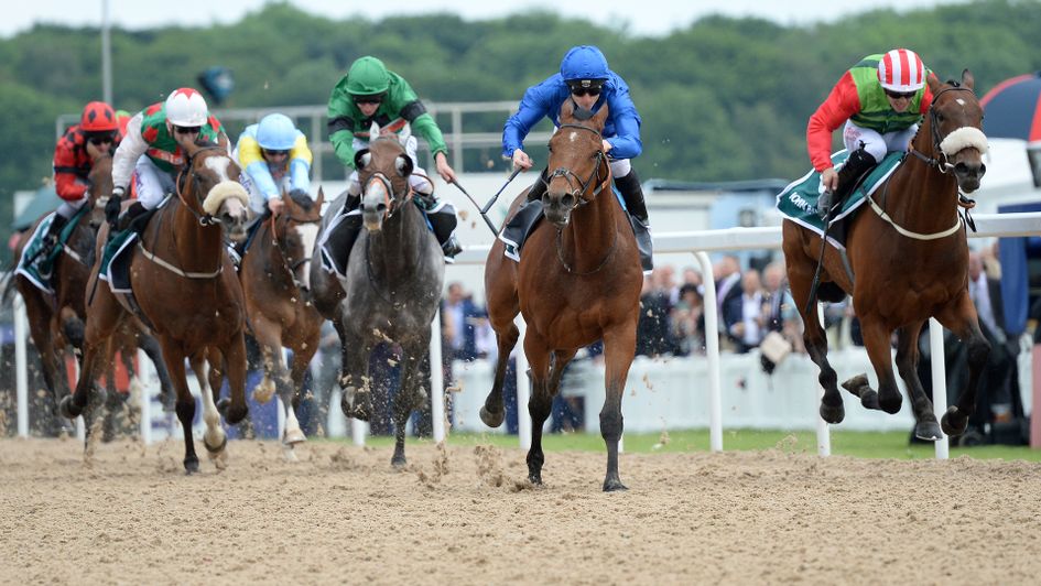 Northumberland Plate action