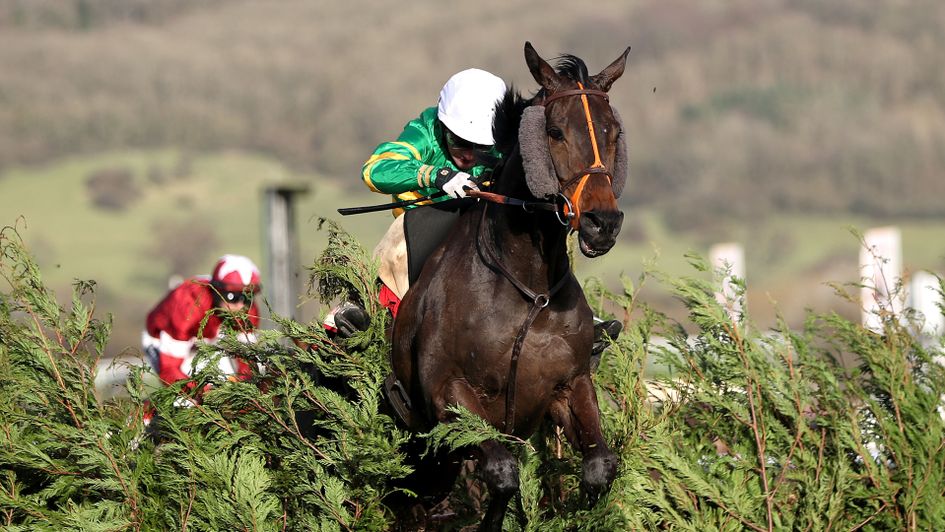 Easysland jumps to victory in the Cross Country