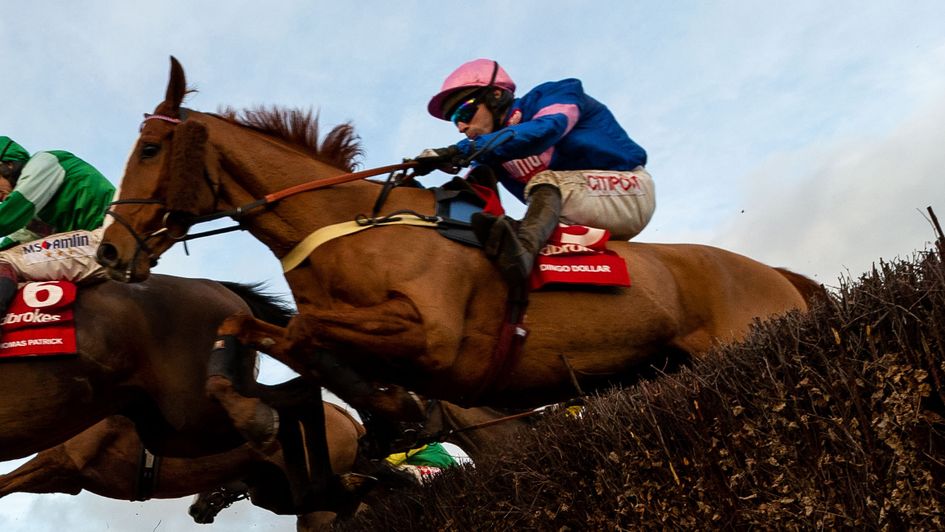 Dingo Dollar in action at Newbury