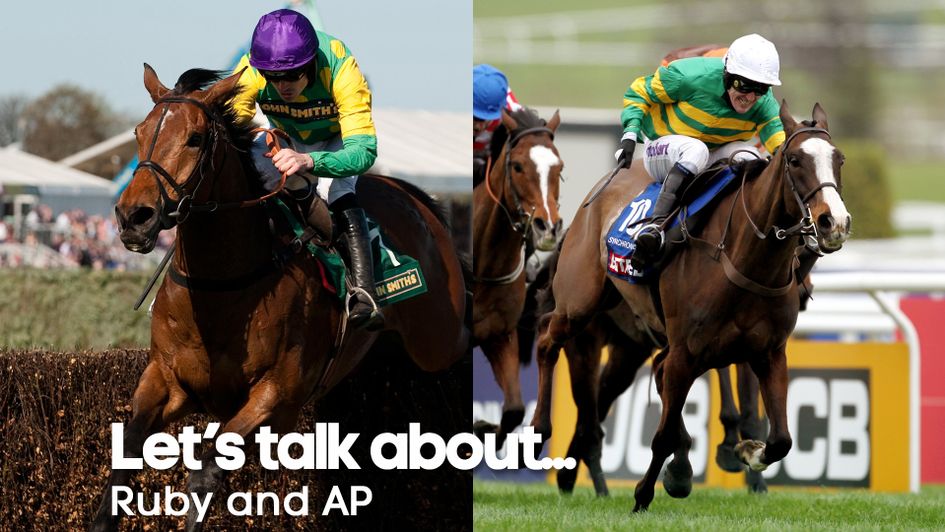 Ruby Walsh and Sir Anthony McCoy: Two of the great jumps jockeys