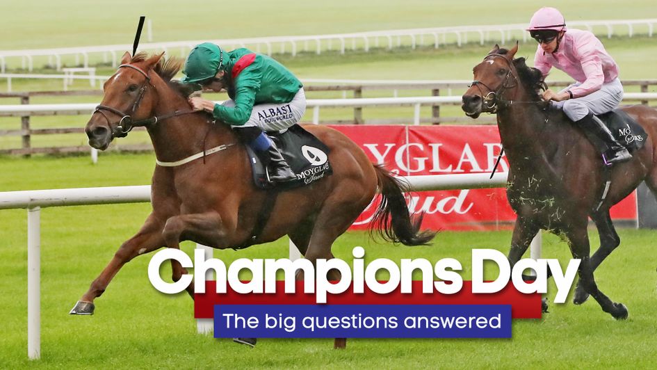 Tarnawa looks underestimated for Dermot Weld