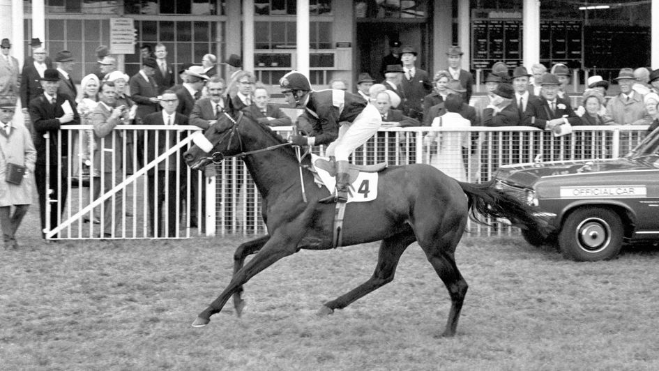 Mill Reef