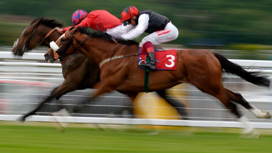 Falcon Eight and Mekon serve up a Sandown classic