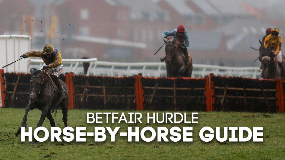 Horse-by-horse guide to Saturday's Betfair Hurdle