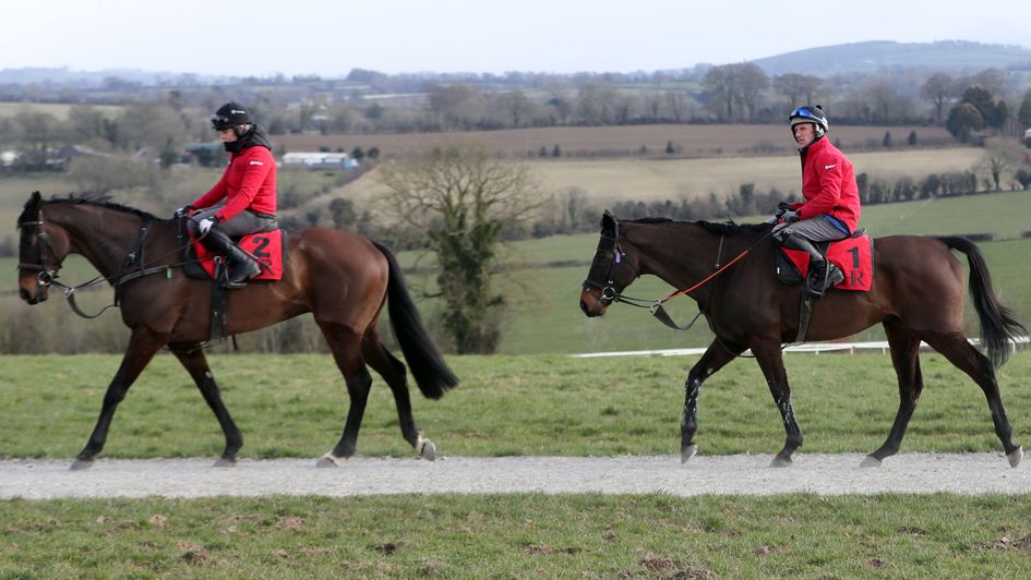 Sizing John leads Supasundae in front of the media