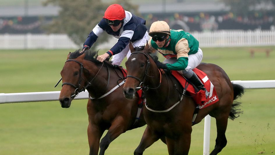 Sabre (left) in action at Sandown