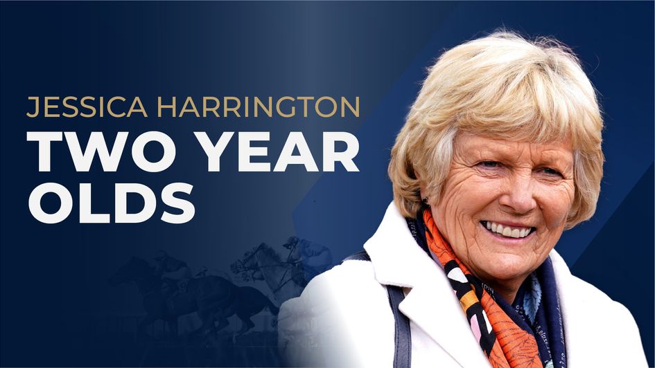Jessica Harrington Two-Year-Old Guide