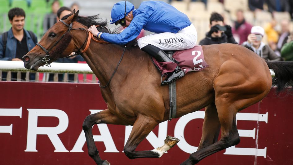 Wild Illusion - fancied to win the Investec Oaks