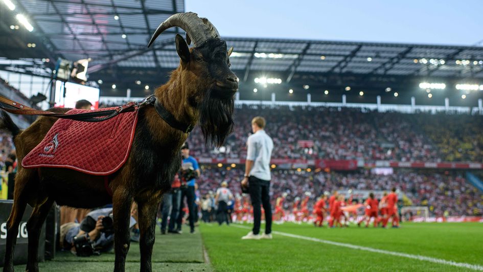 Hennes won't be present at Koln's games