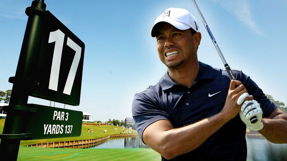 Tiger Woods is part of Ben Coley's staking plan at Sawgrass