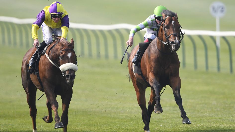 Brando and Keystroke do battle in the Abernant