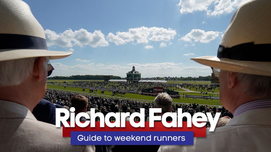 Check out Richard Fahey's thoughts right here