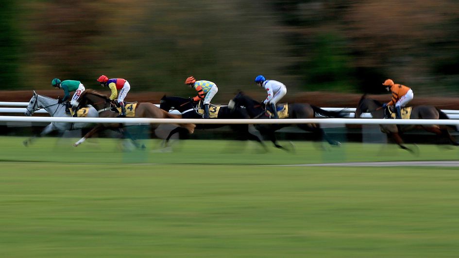 Bristol De Mai leads the way in the Betfair Chase