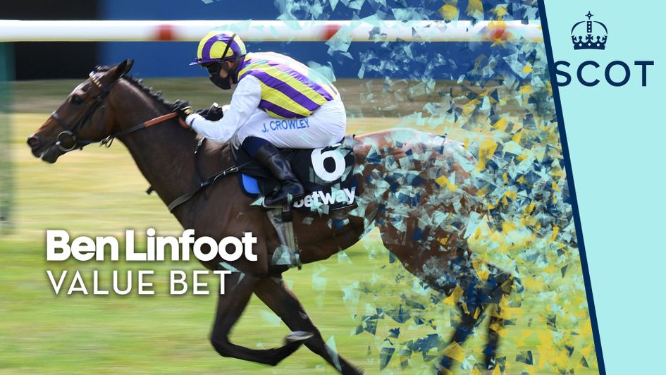 Tinto is backed on Saturday