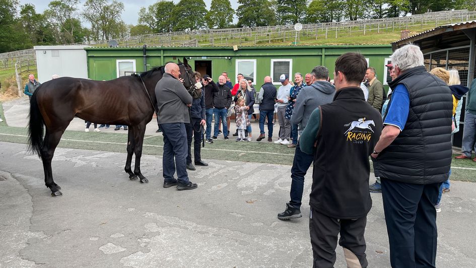 Members of the Club check out the horses at Musley Bank